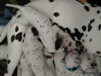 IMG_20250119_112550_web