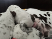 IMG_20250119_112555_web