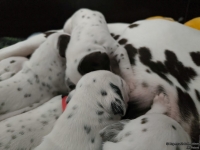 IMG_20250119_112601_web