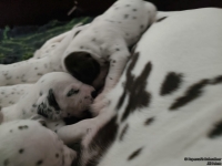 IMG_20250119_112603_web