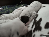 IMG_20250119_112605_web