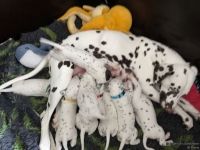 IMG_20250119_112640_web