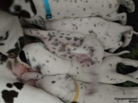 IMG_20250119_112711_web