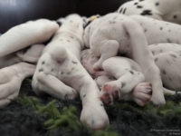 IMG_20250119_112730_web