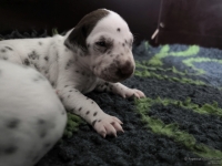 IMG_20250119_112755_web