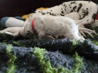 IMG_20250119_112832_web