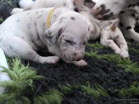 IMG_20250119_112915_web