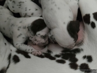 IMG_20250119_112944_web