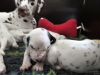 IMG_20250119_112952_web