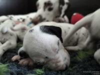 IMG_20250119_113001_web