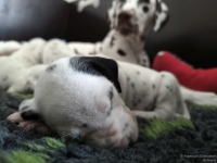 IMG_20250119_113013_web