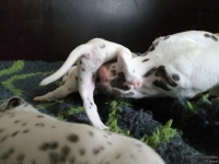 IMG_20250119_113237_web