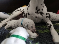 IMG_20250119_113258_web