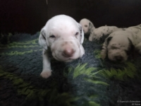 IMG_20250119_143004_web