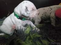 IMG_20250119_143017_web