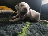 IMG_20250119_143032_web