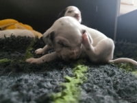 IMG_20250119_143034_web