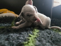 IMG_20250119_143035_web