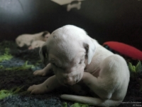 IMG_20250119_143043_web