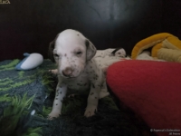 IMG_20250119_143117_web