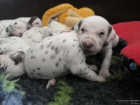 IMG_20250119_143139_web