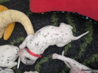 IMG_20250119_143201_web