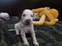 IMG_20250119_145604_web