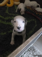 IMG_20250119_145648_web