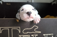 IMG_20250119_231202_web