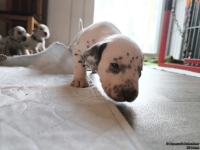 IMG_20250121_112445_web