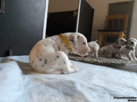 IMG_20250121_112448_web