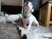 IMG_20250121_112459_web