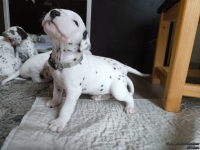 IMG_20250121_112502_web