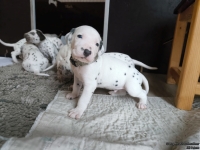 IMG_20250121_112503_web