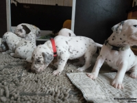 IMG_20250121_112506_web