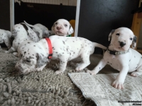 IMG_20250121_112507_web