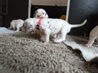 IMG_20250121_112510_web