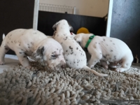 IMG_20250121_112523_web