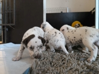 IMG_20250121_112545_web