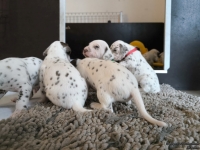 IMG_20250121_112549_web