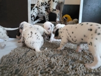 IMG_20250121_112553_web