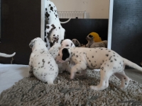 IMG_20250121_112555_web