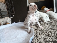 IMG_20250121_112616_web