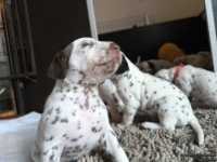 IMG_20250121_112619_web