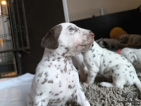 IMG_20250121_112620_web