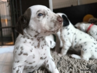 IMG_20250121_112622_web