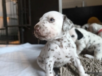 IMG_20250121_112624_web