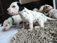 IMG_20250121_112627_web