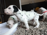 IMG_20250121_112628_web