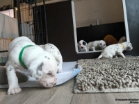 IMG_20250121_112647_web